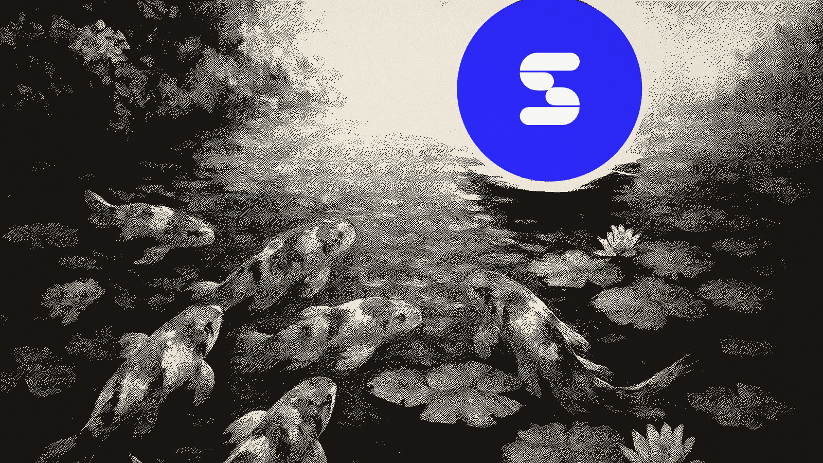 What is Stablecorp? Building the Infrastructure for Internet-Native Businesses